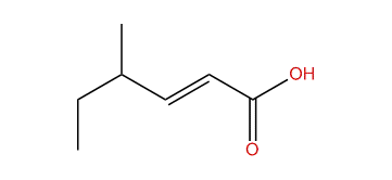 4-Methylhexenoic acid